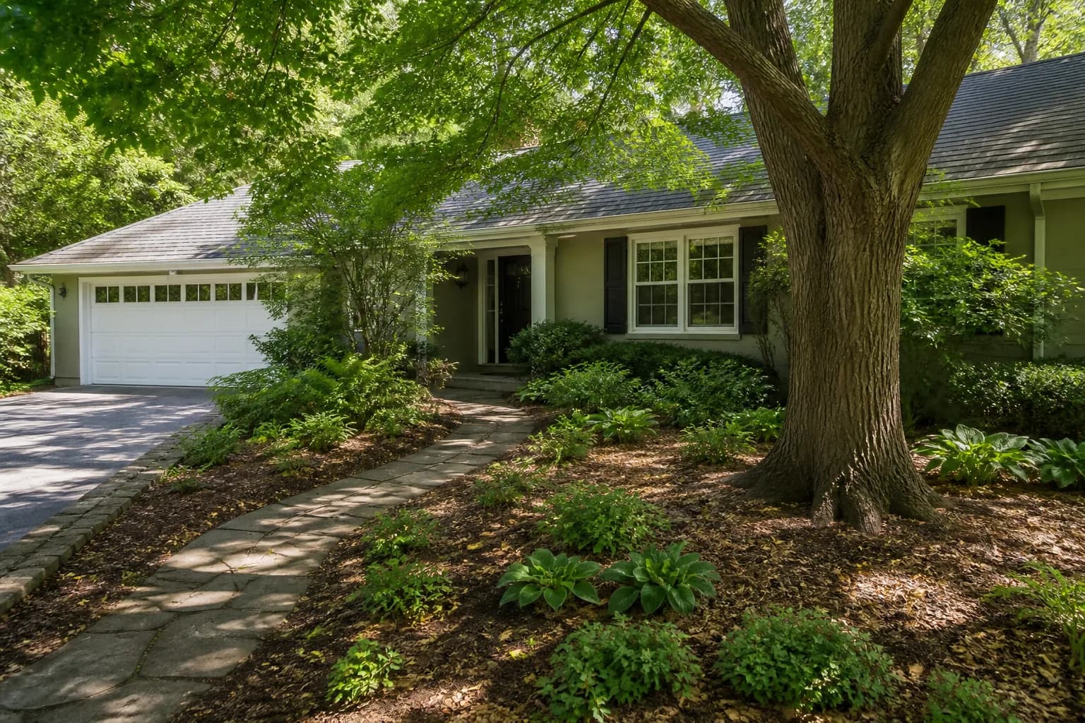 Before-and-after view of a front lawn redesigned as low-maintenance landscaping without grass: A woodland garden beneath a mature tree