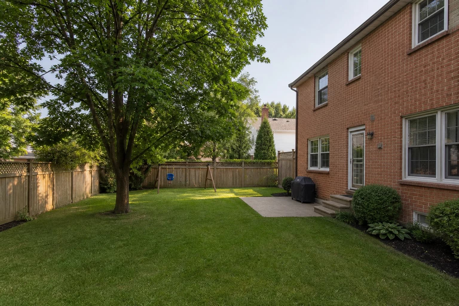 Family backyard with lawn and swing before landscape design