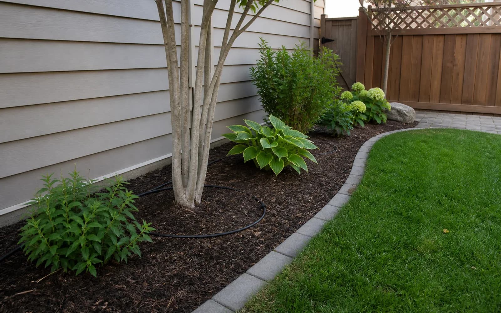 Small backyard landscaping inspiration: Pair mulch with targeted irrigation
